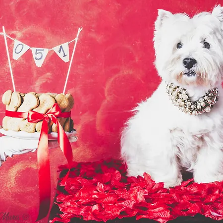 051 Boutique 3* بولونيا