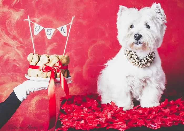 051 Boutique 3* Bologna