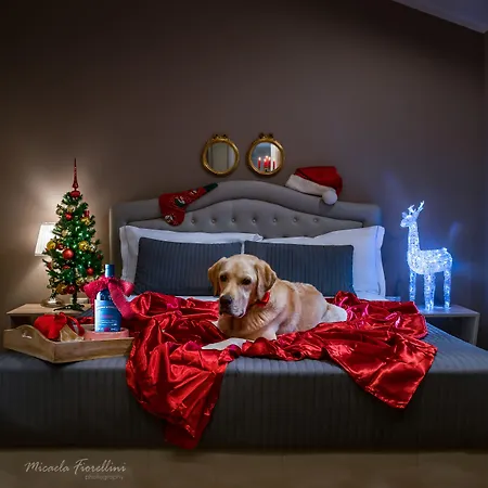 051 Boutique 3* Bolonia